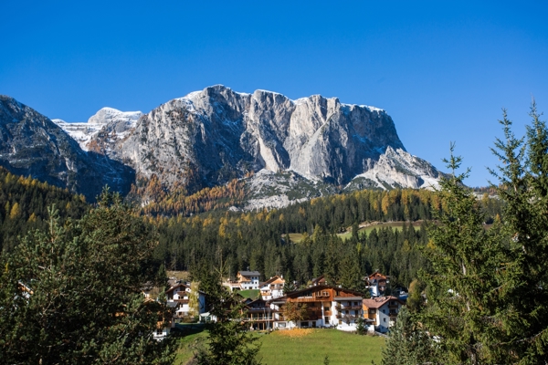 View of village and forest with mountains in the background