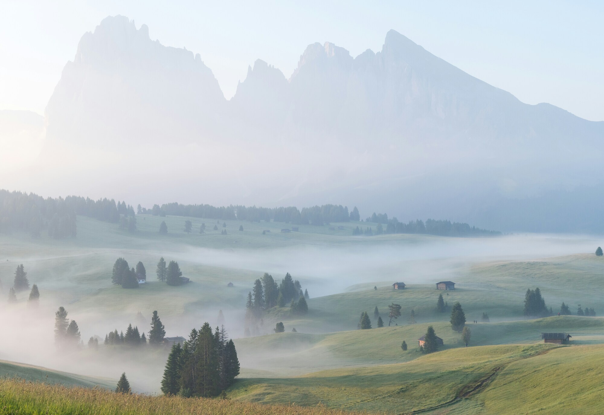 Misty meadows and mountain landscape