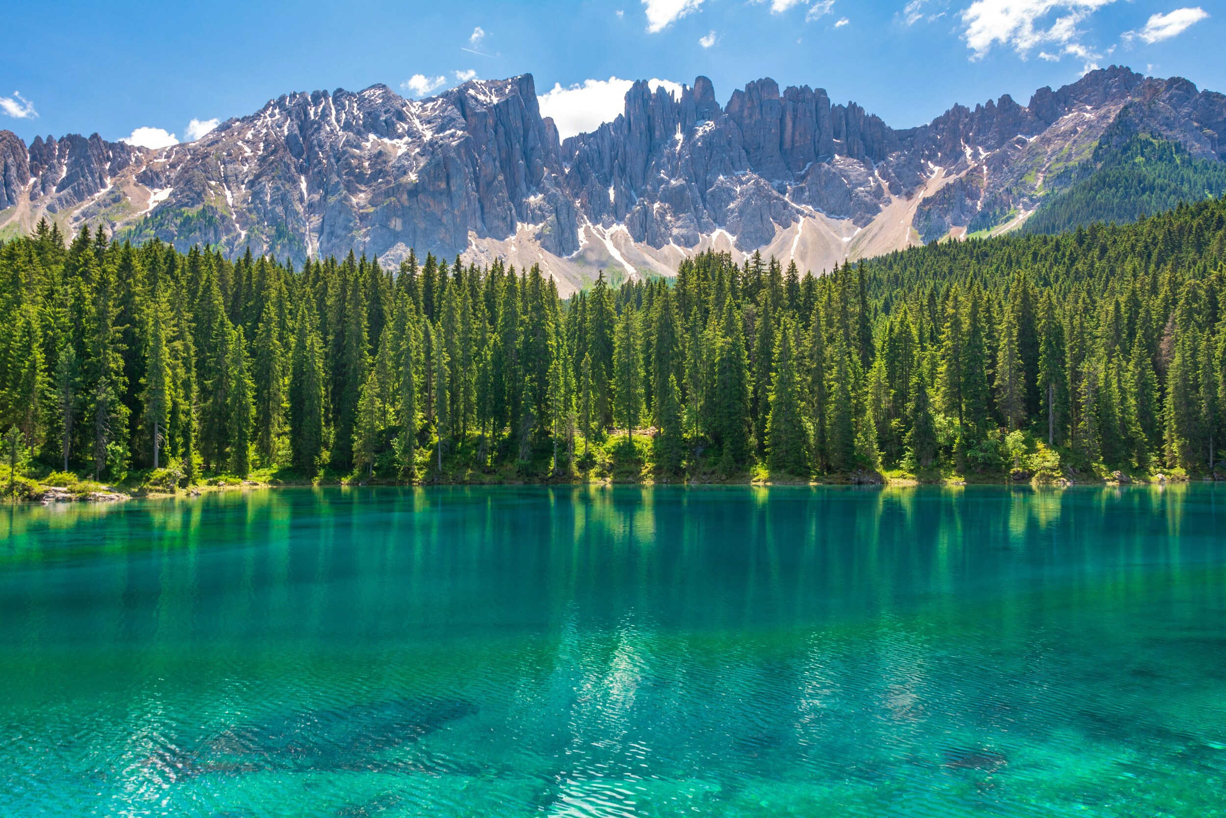 Turquoise waters of a lake, behind it a dense coniferous forest and a high mountain range