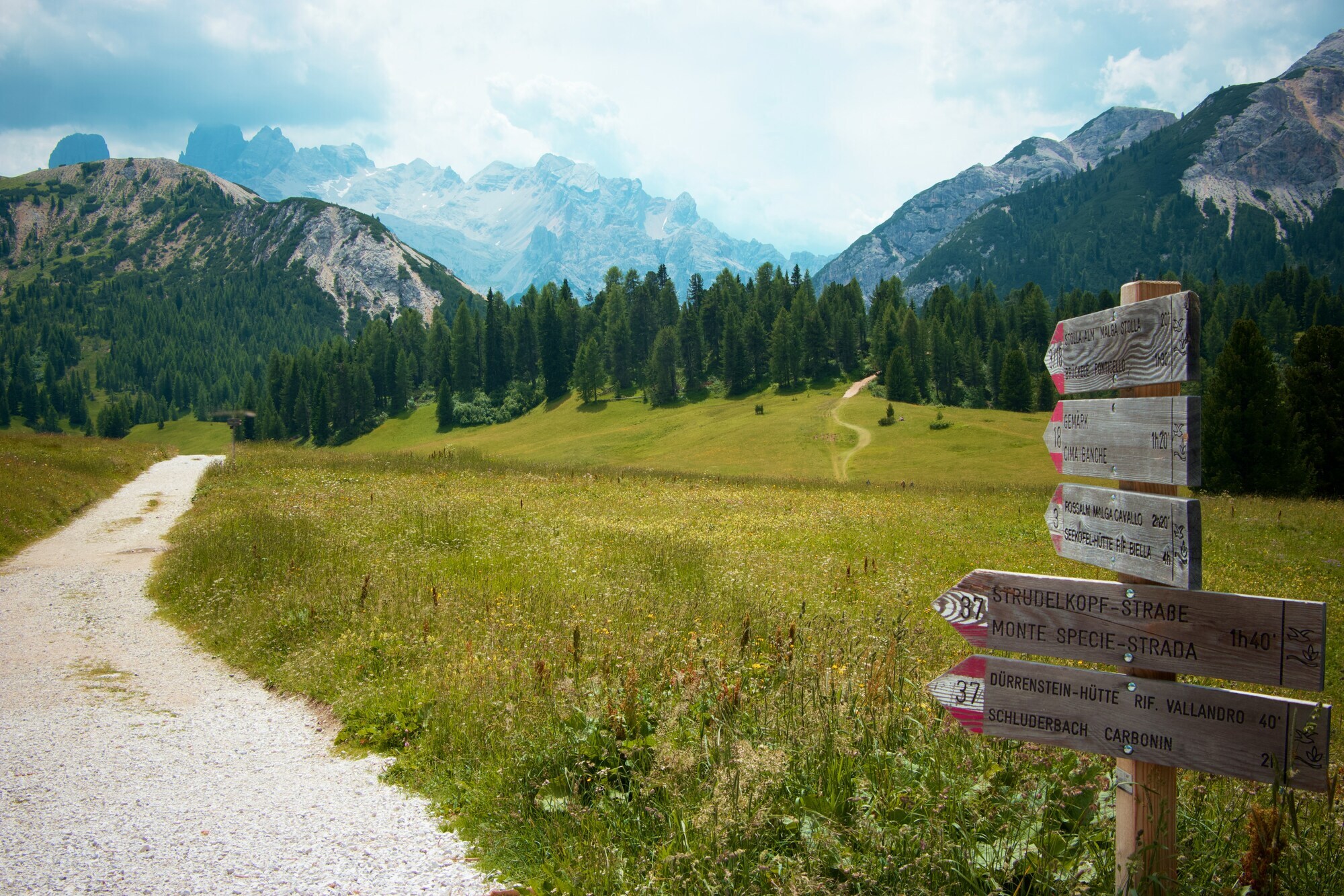 Trail signs and hiking trail on a mountain meadow