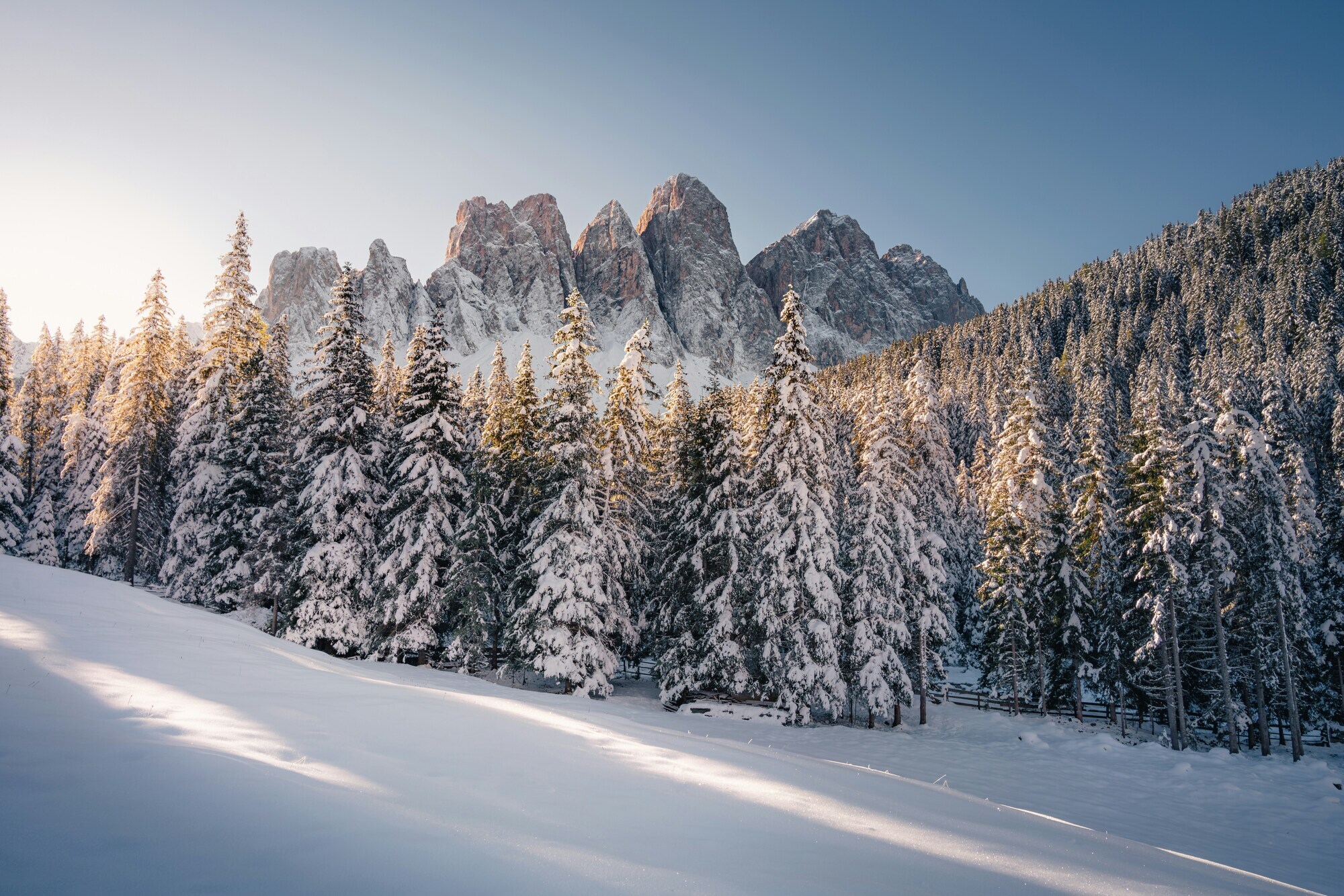 Sunrise on a forest and peaks with fresh snow