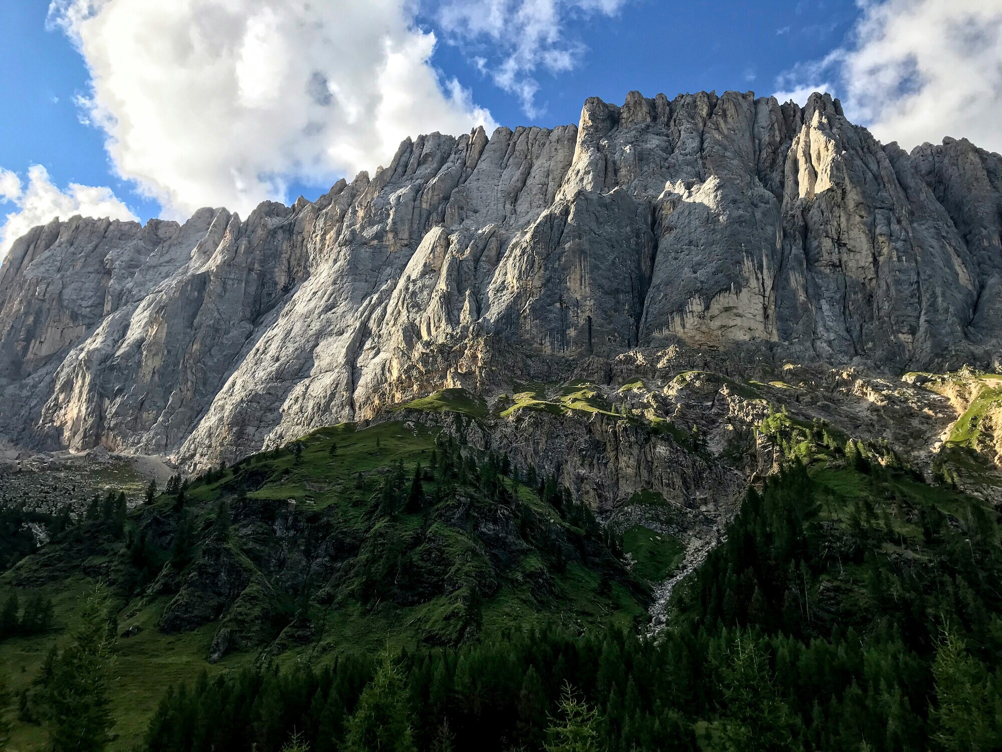 Dolomites rock wall and forest