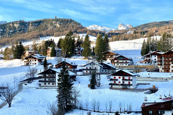 Houses in a snow-covered village