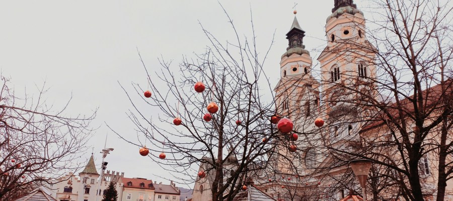 Bare tree decorated with red Christmas baubles between small wooden roofs and a city backdrop with church towers