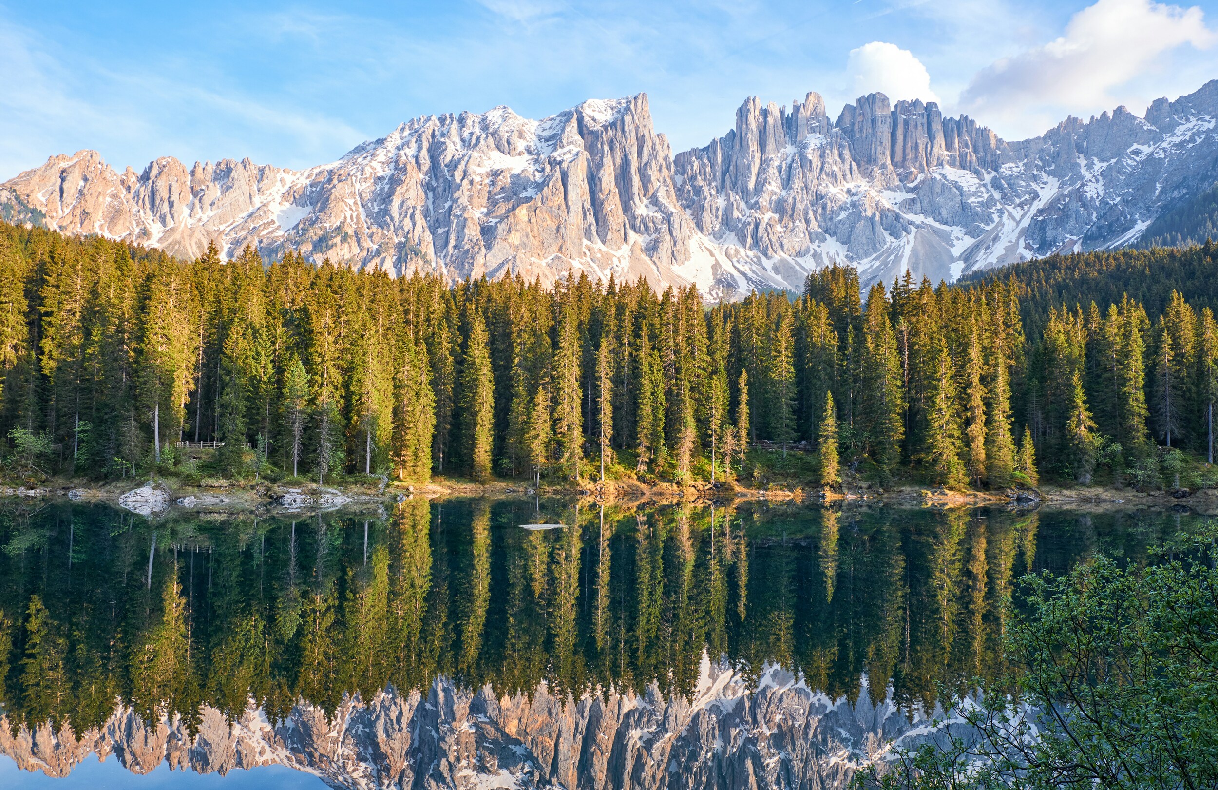 Coniferous trees and mountain range reflected in a lake in fine light