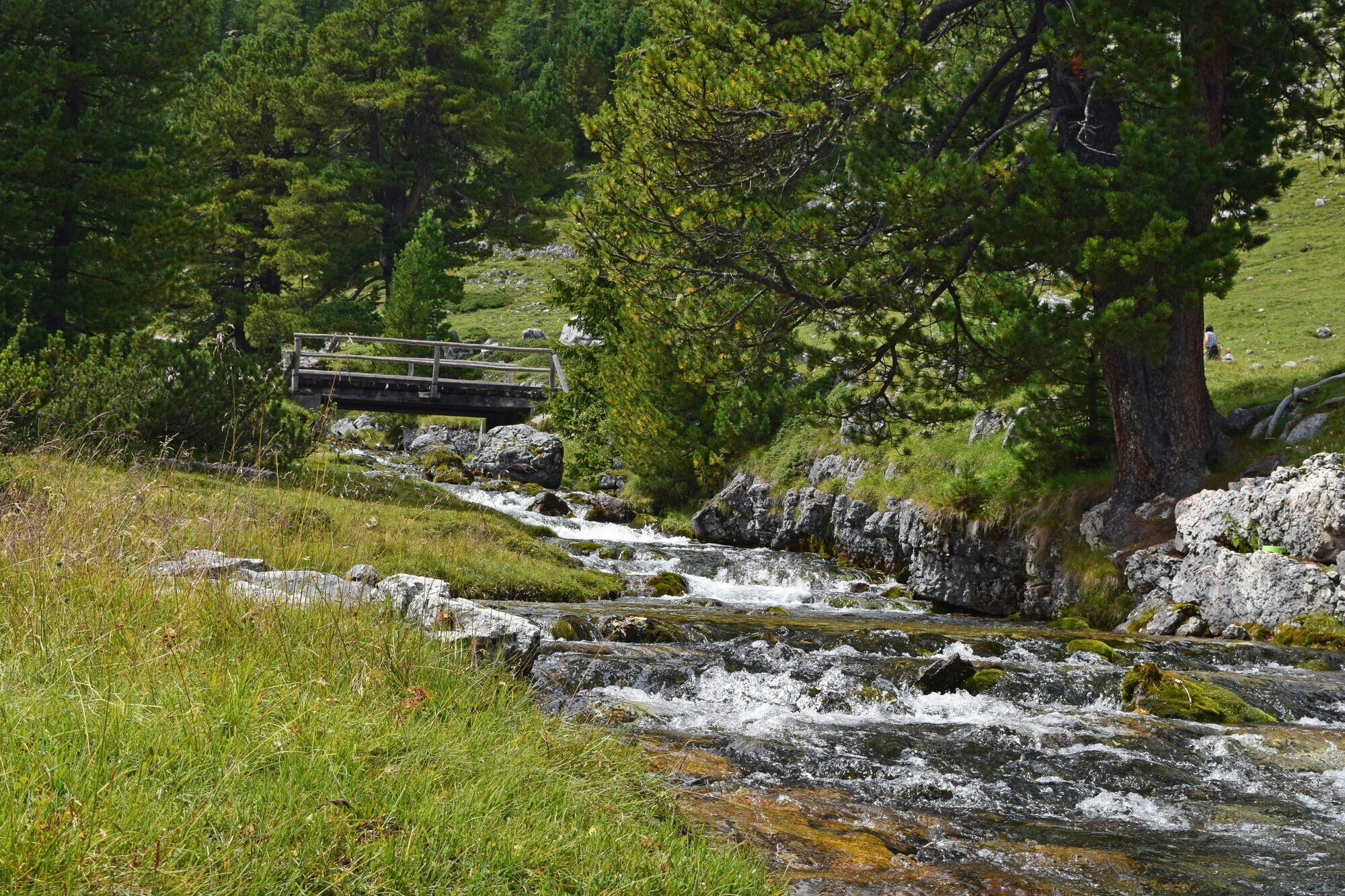 Small mountain stream with bridge, lined with meadows and trees