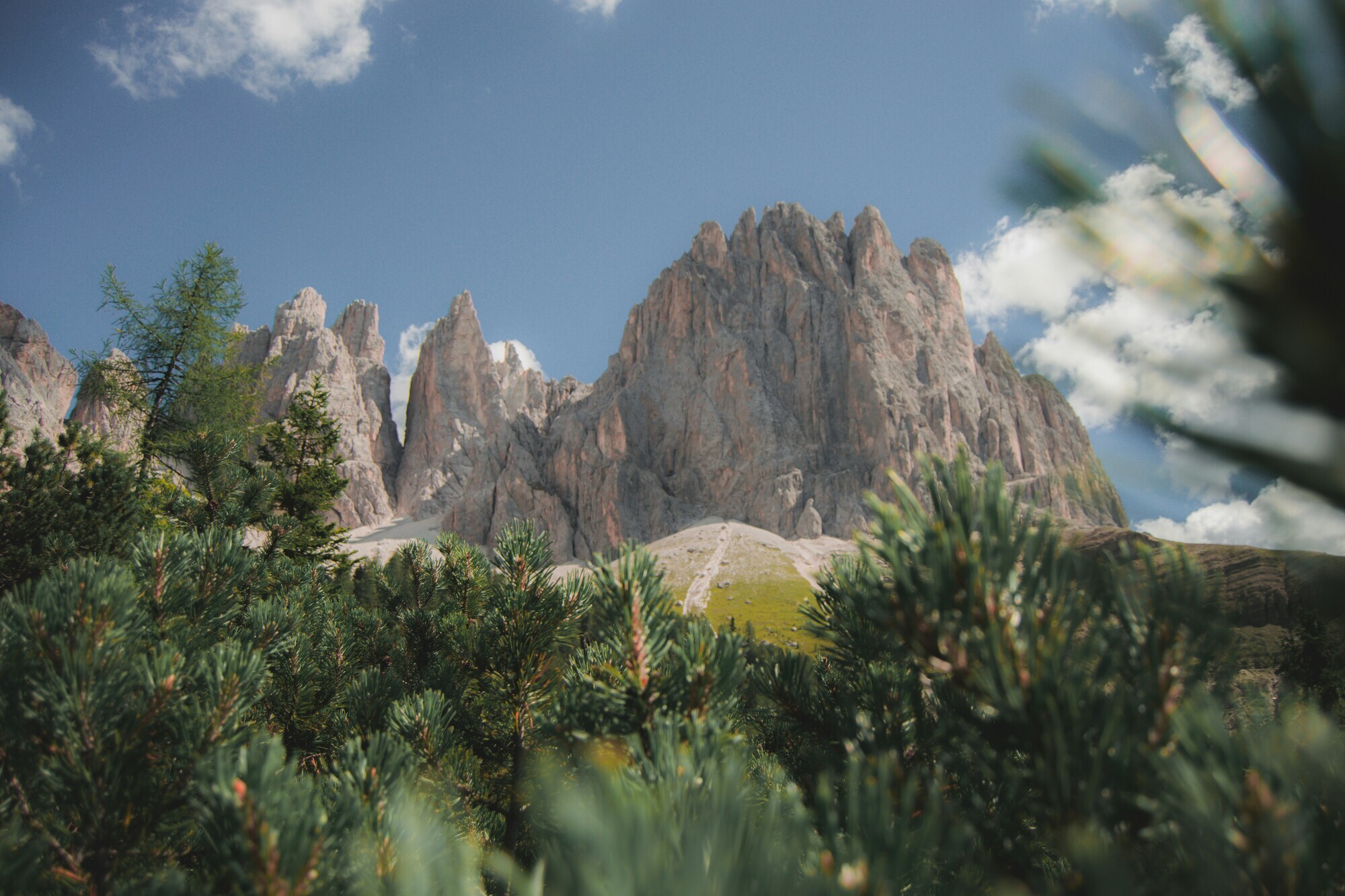 Dolomites peaks behind coniferous trees