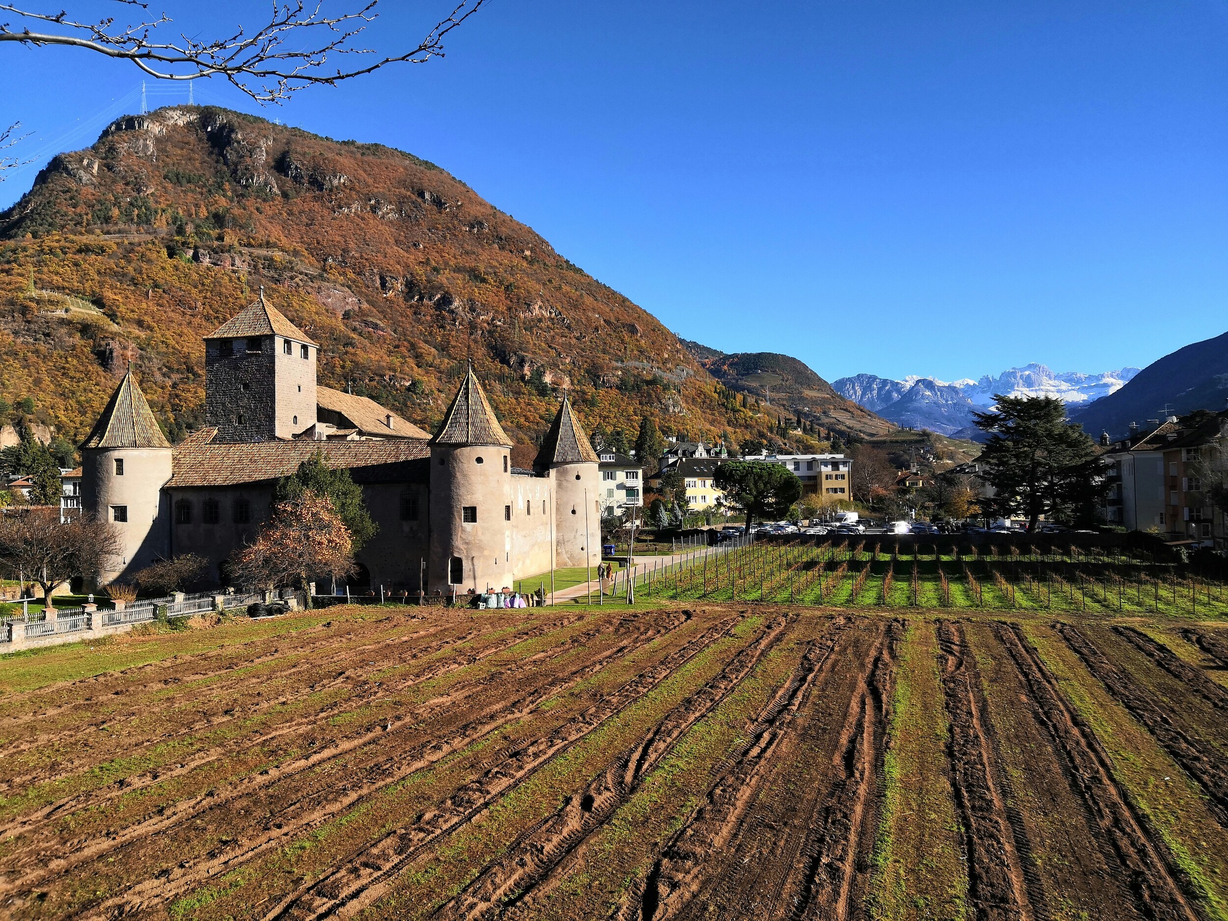 Fields and castle in front of the city, mountains in the background