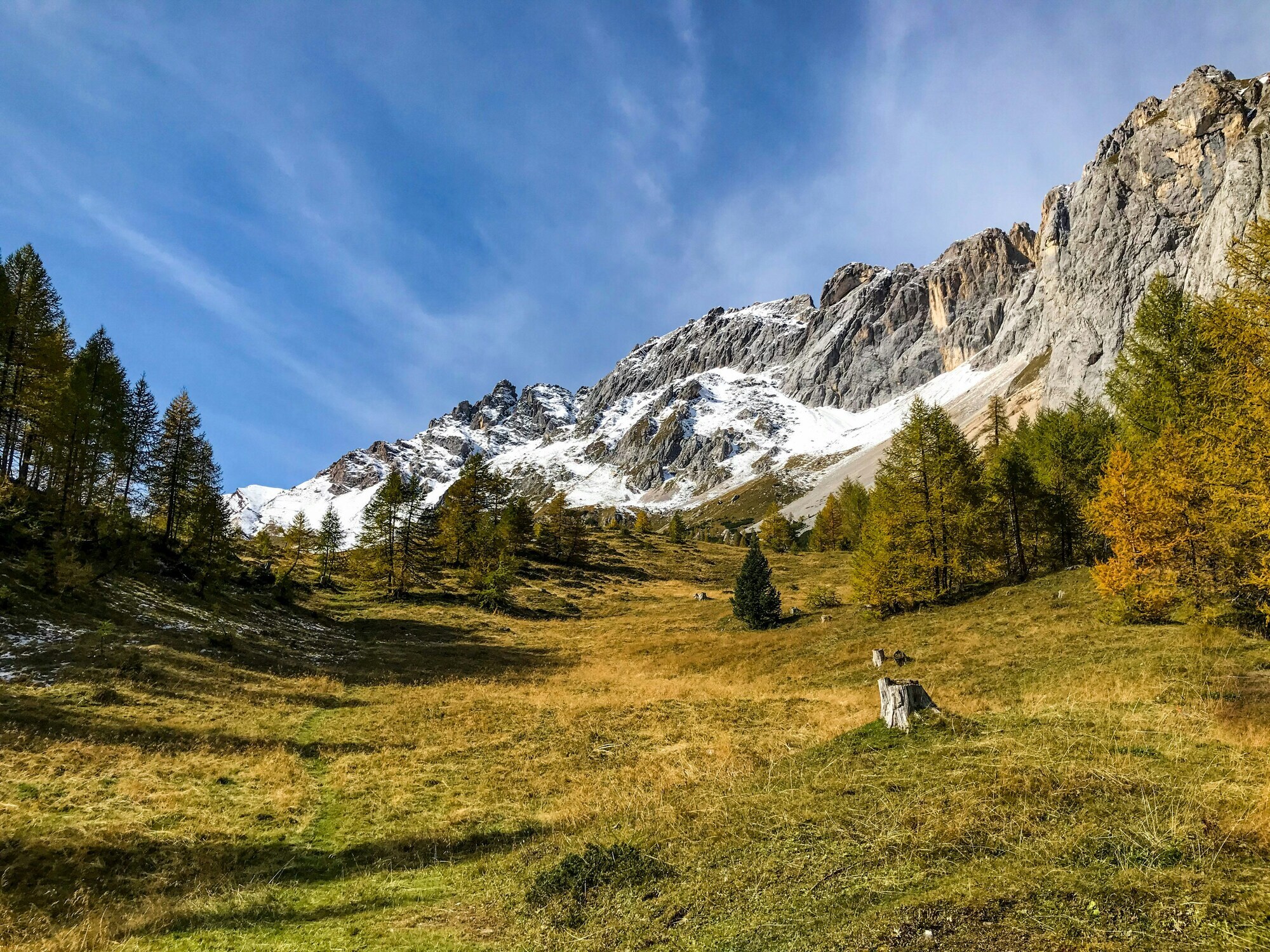 Meadow in autumn with snow-covered peaks