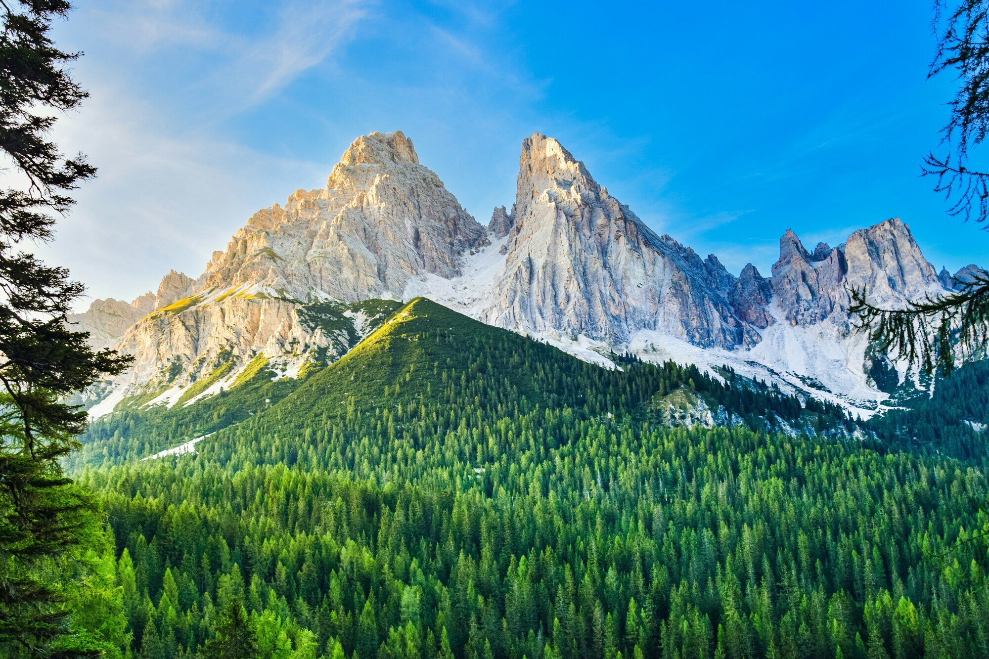 Coniferous forest and pale Dolomites mountains