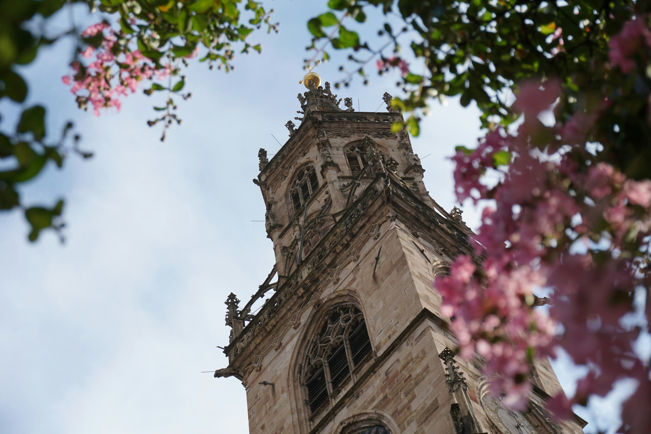 Flower-lined view up to a church tower