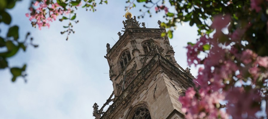 Flower-lined view up to a church tower