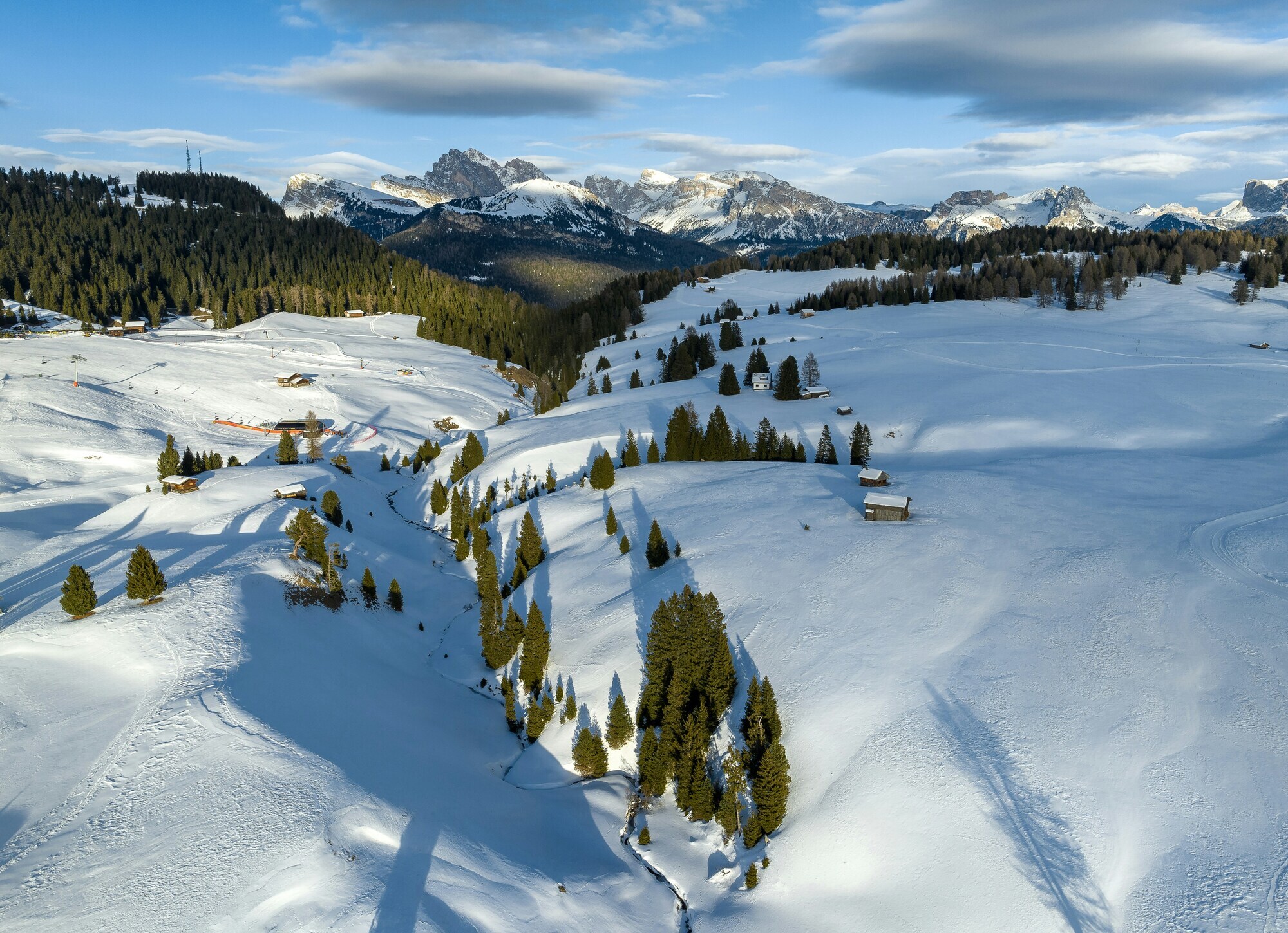 Forest and cabins in deep snow