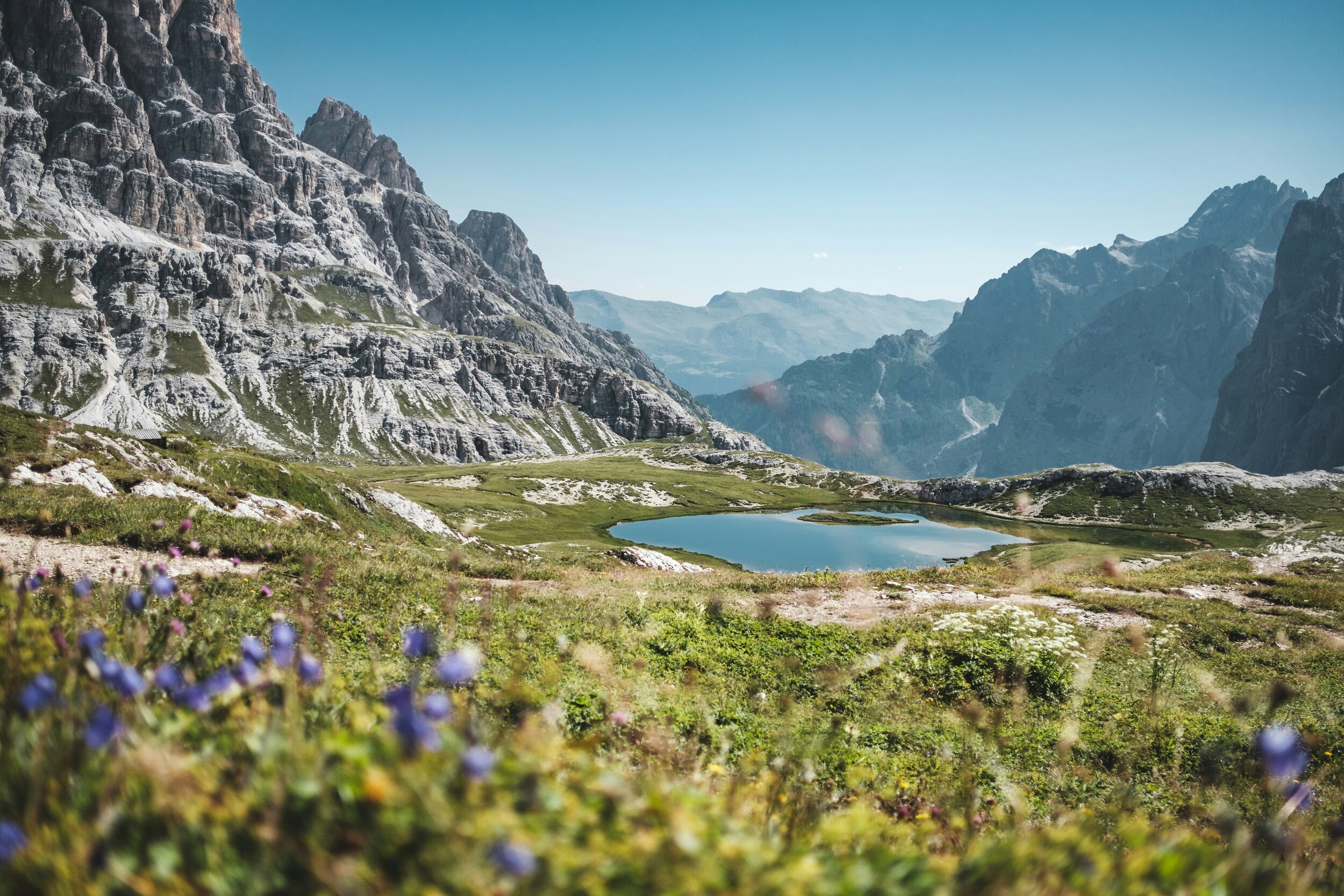 Mountain lake, flowering meadow and peaks