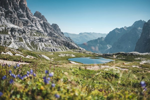 Mountain lake, flowering meadow and peaks