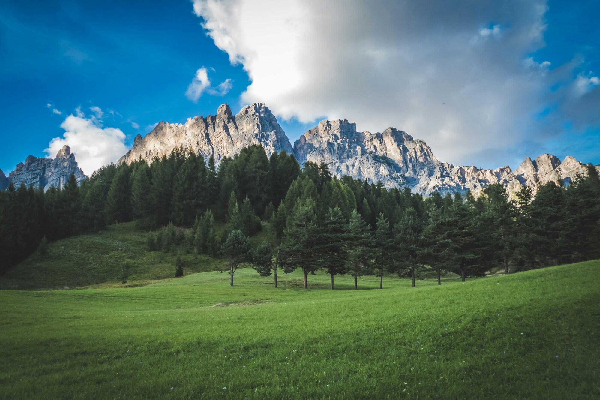 Meadow with trees, mountains and blue sky