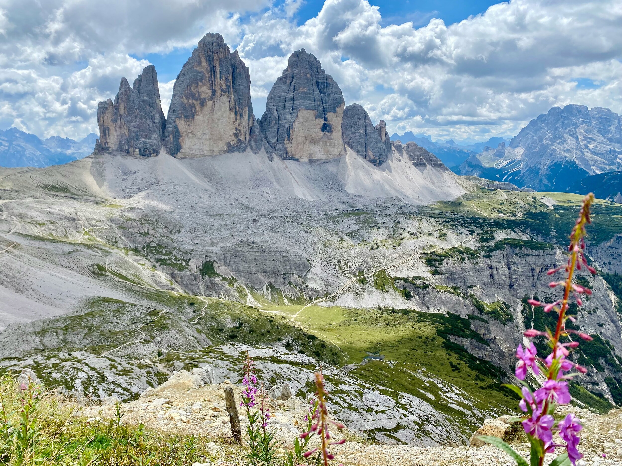 Violet flower in front of a mountain scenery with three peaks