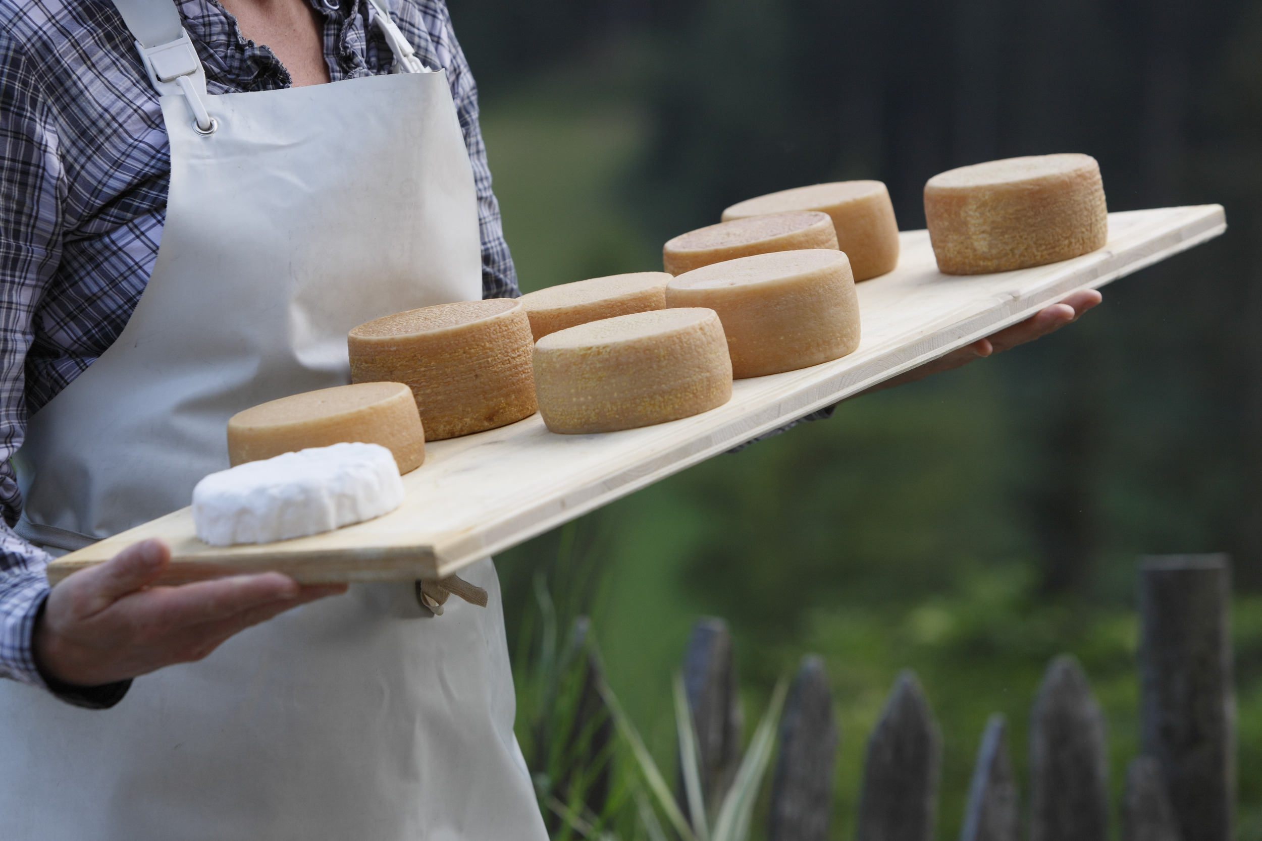 Cheese loaves srved on a wooden tray