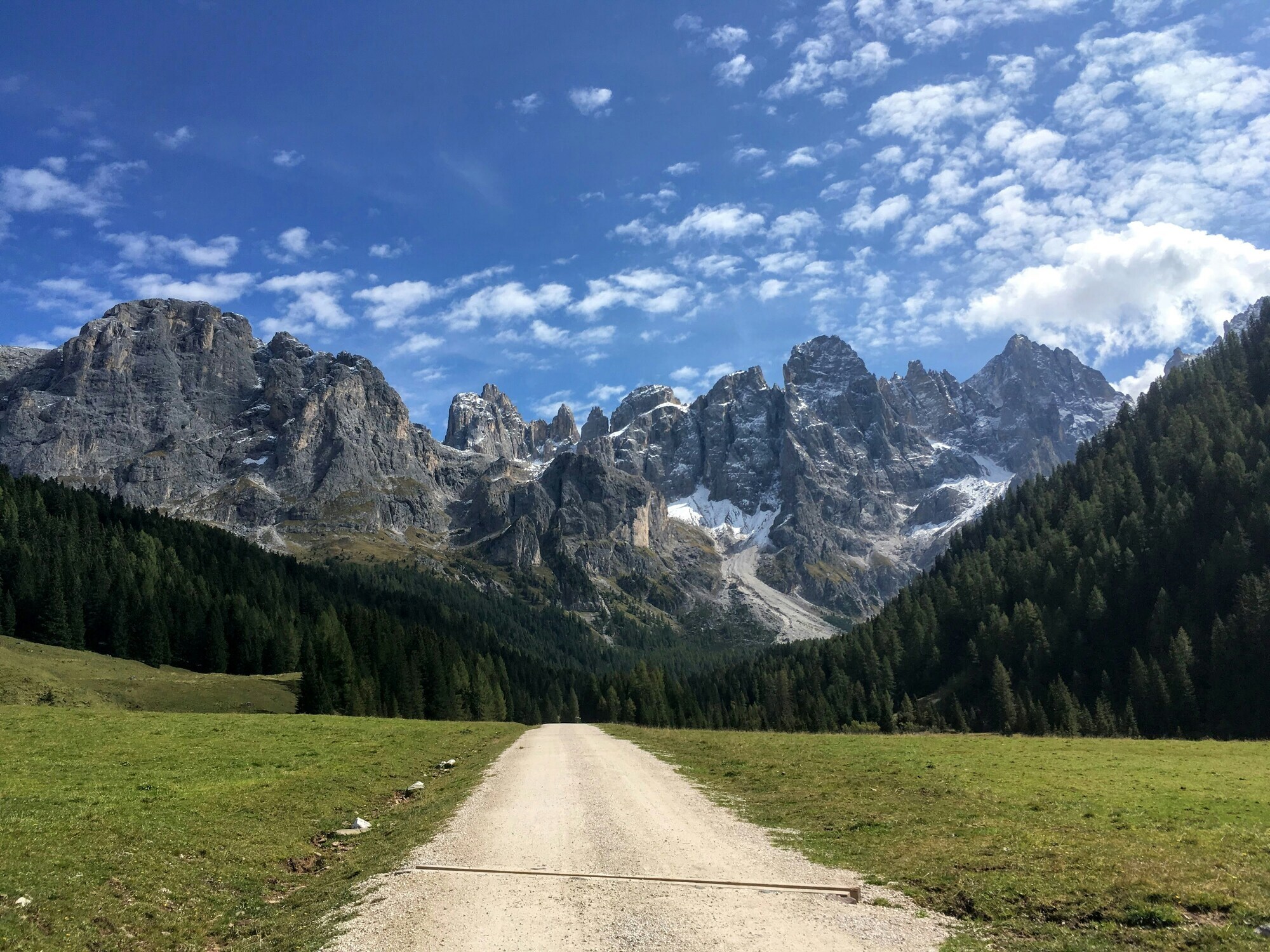 Large path on a meadow with woods and mountains