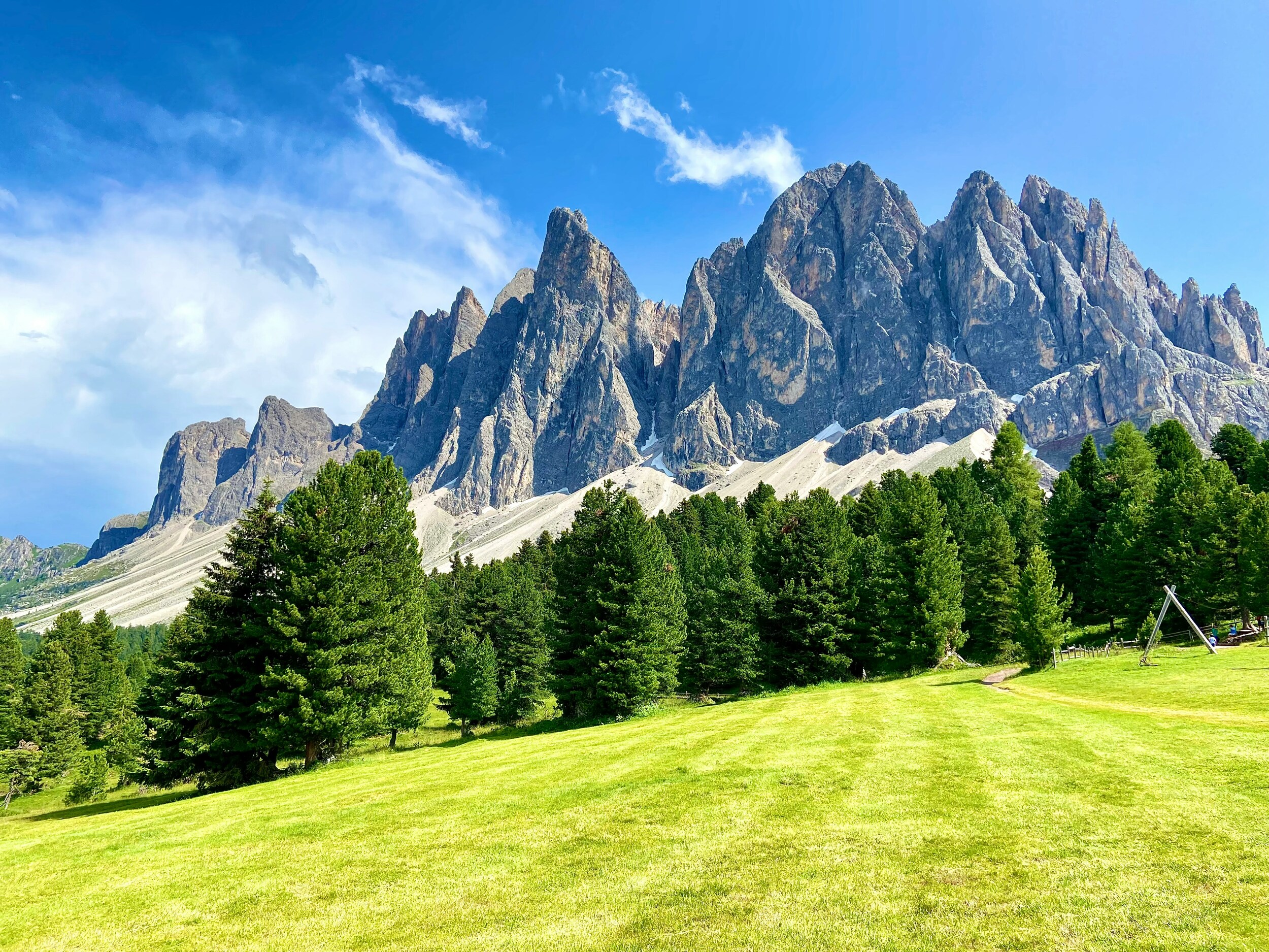 Mown meadow, trees and rugged peaks