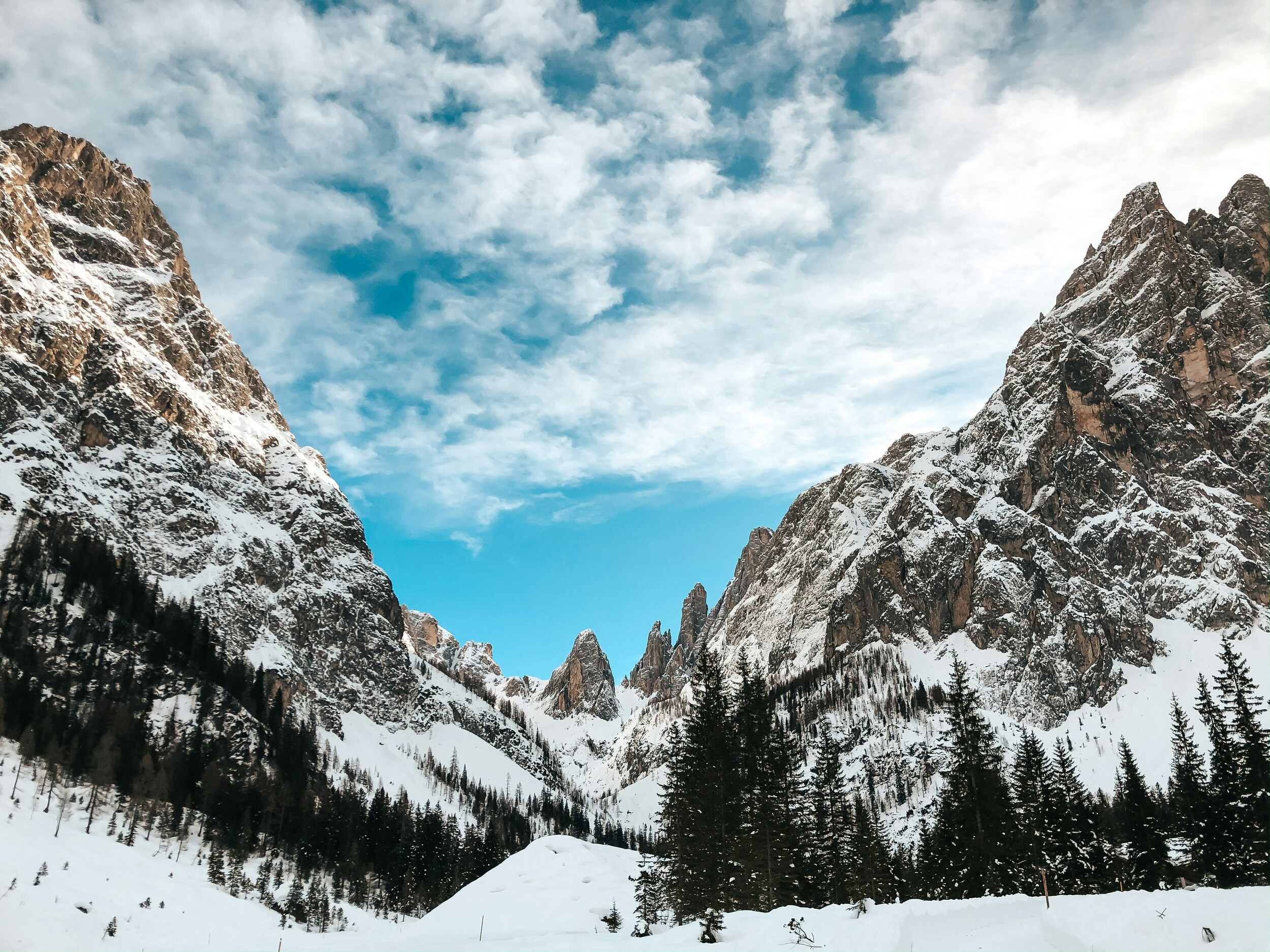 Snow-covered valley with trees and peaks