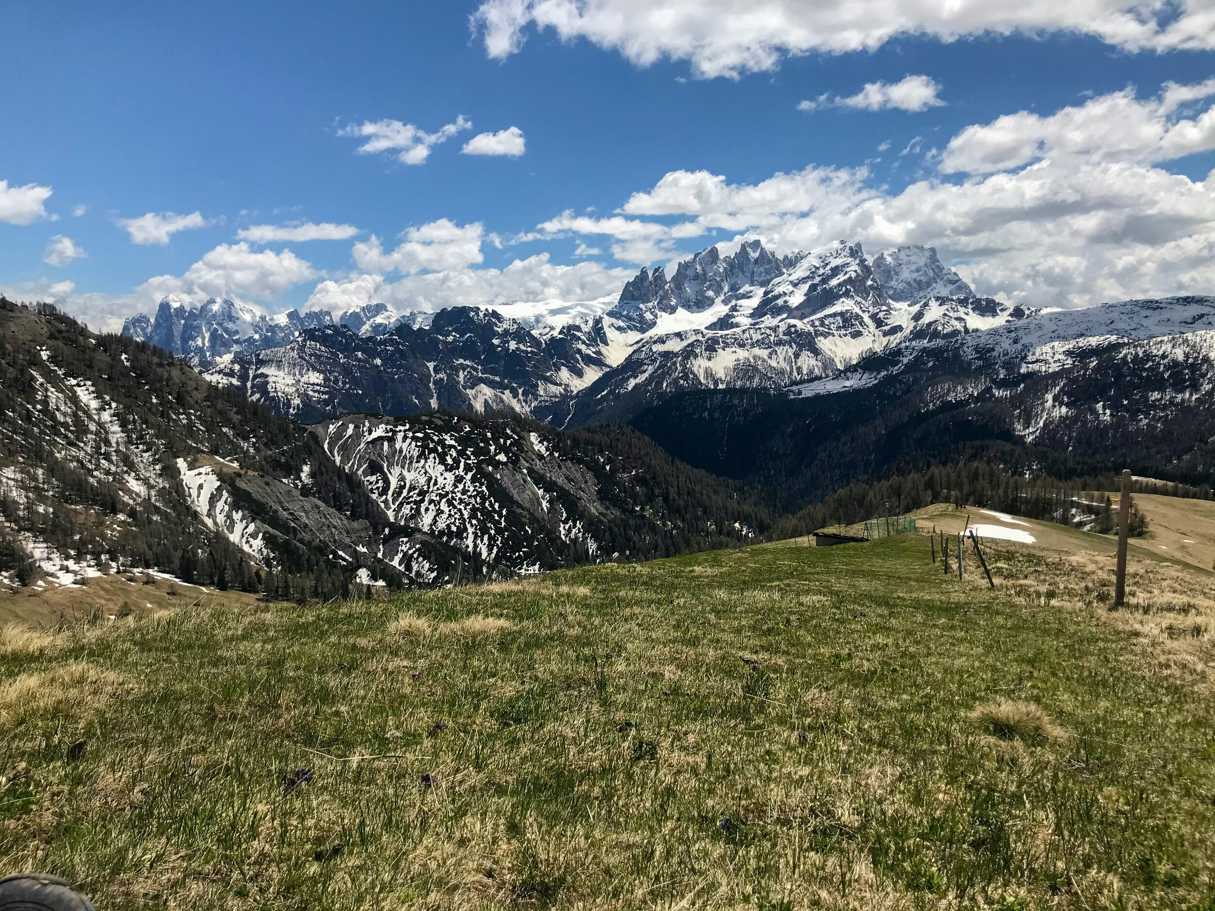 Dry meadow with snowy peaks in the background