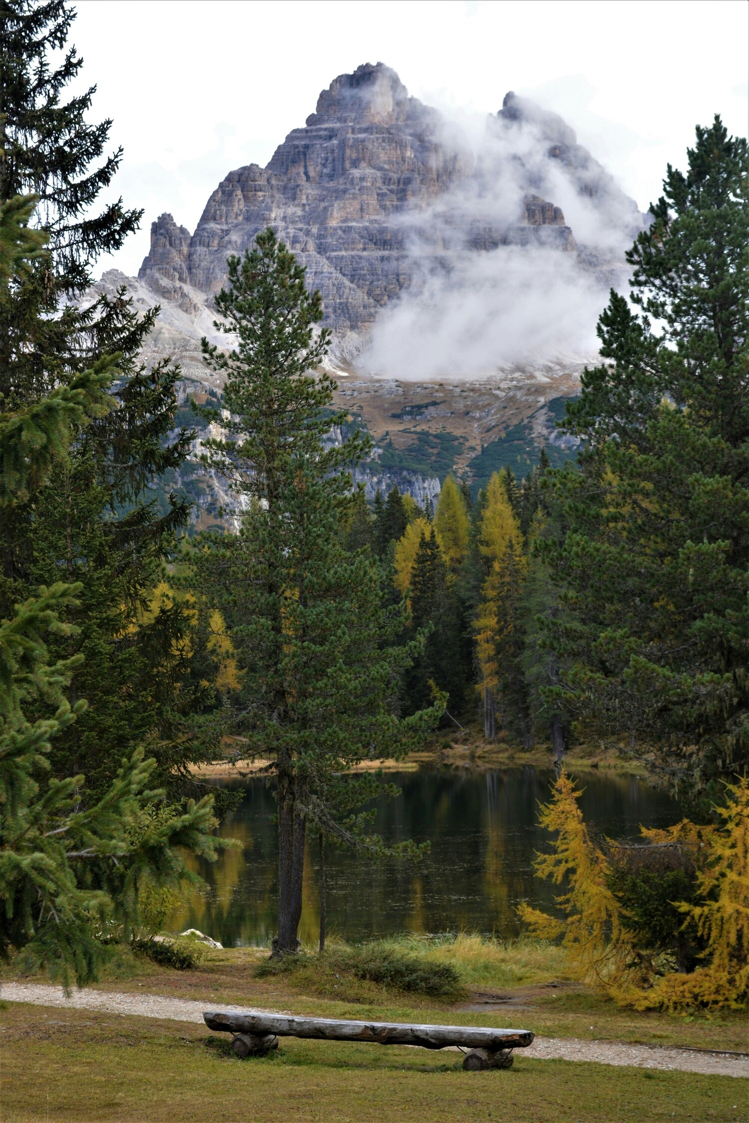 Bench in front of a mountain lake with trees and mountains