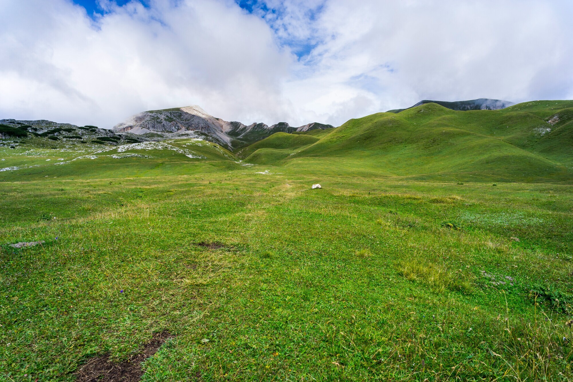 Green, hilly mountain meadow