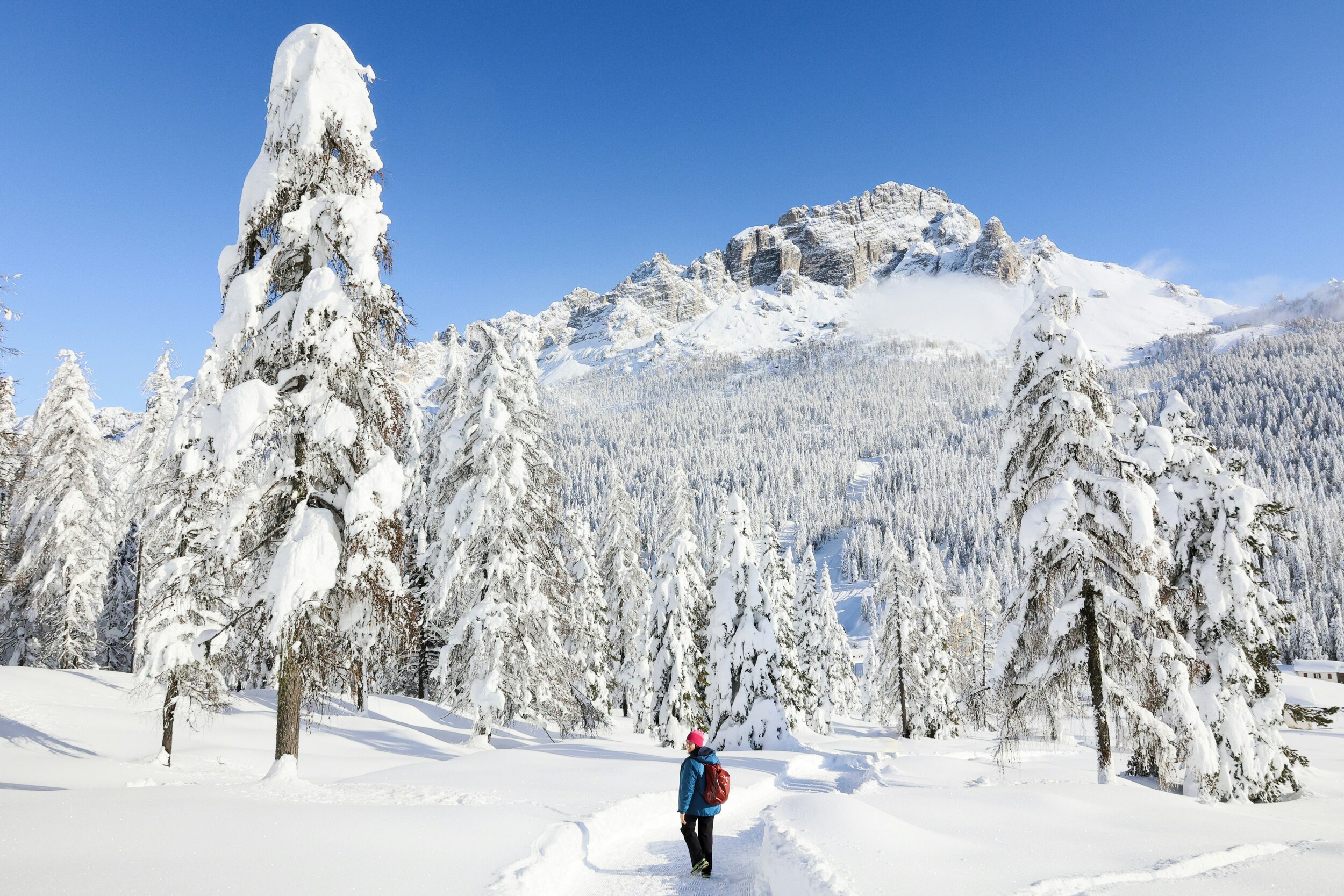 Person walking on a path cleared from snow, with trees and blue sky