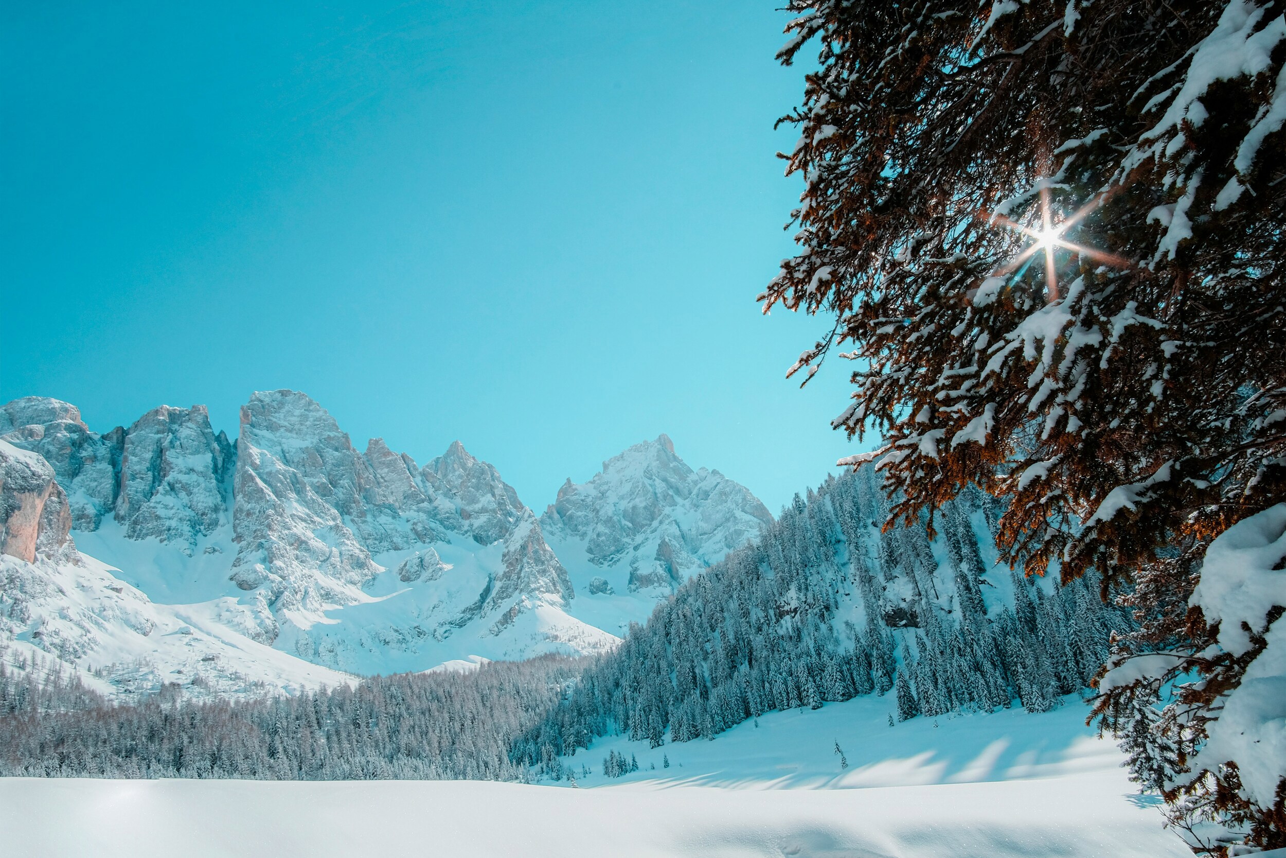 Snow-covered valley, with woods, peaks and blue sky