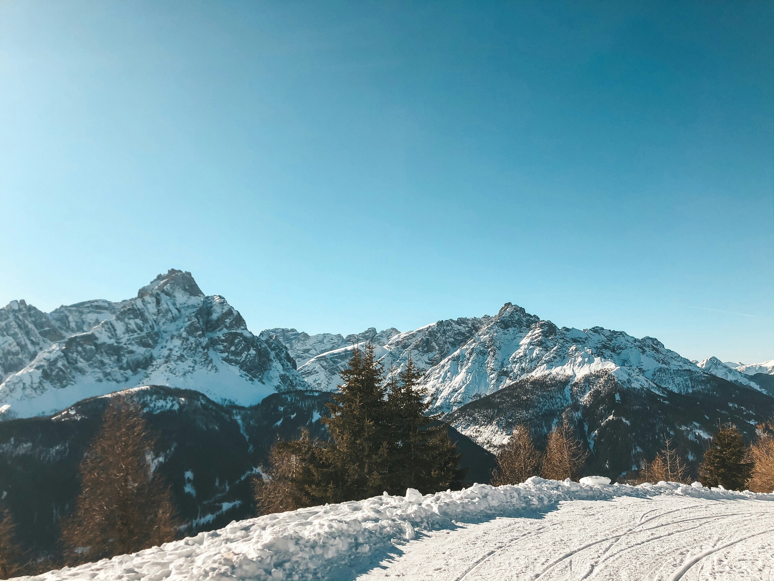 Ski run in front of trees and snow-covered mountains