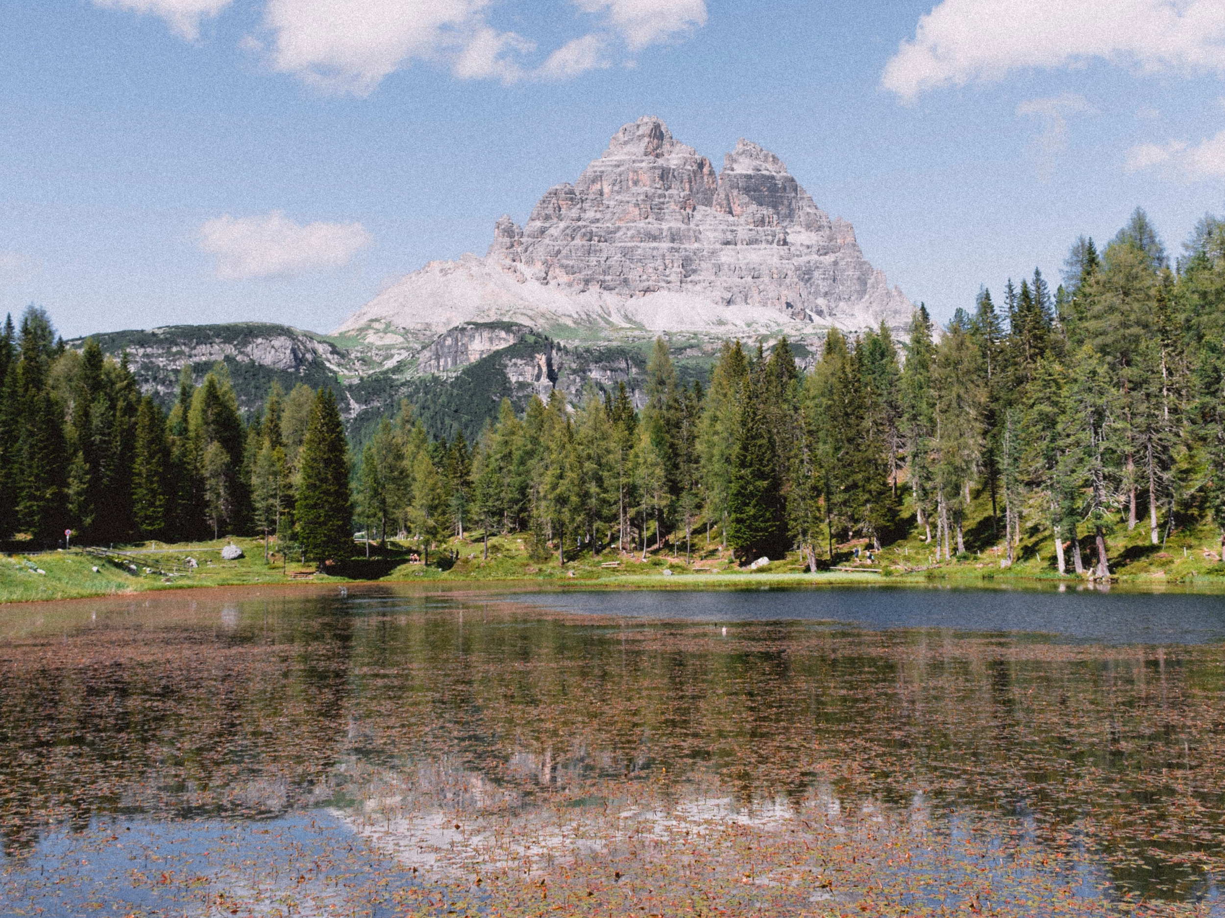 Mountain lake, trees and peaks