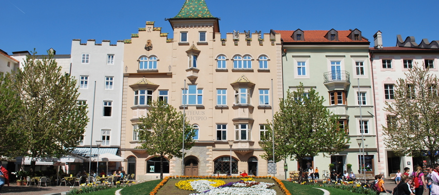 Artfully arranged flowerbed in front of colourful city facades