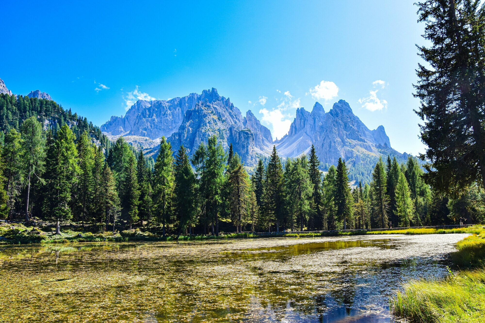 Mountain lake, framed with trees and rugged peaks